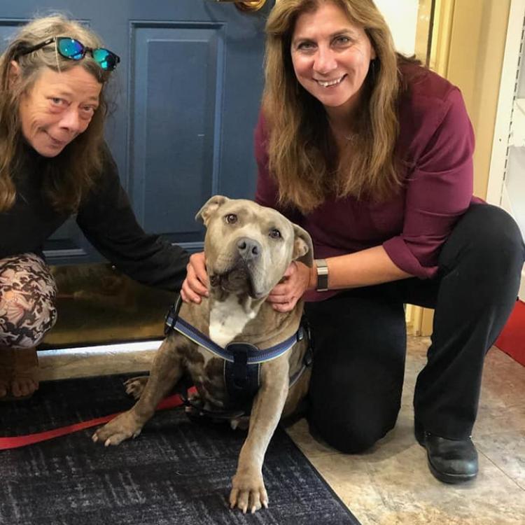 Nassau Veterinary Clinic Nassau, NY